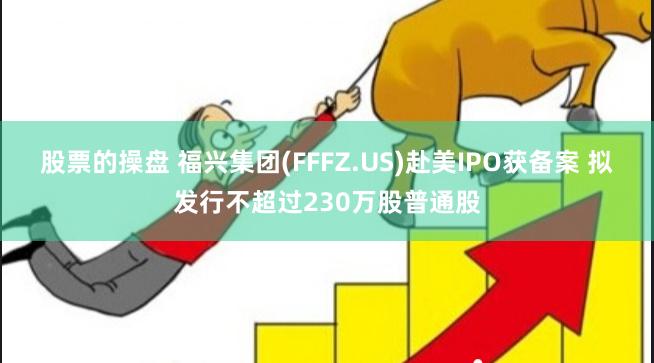 股票的操盘 福兴集团(FFFZ.US)赴美IPO获备案 拟发行不超过230万股普通股