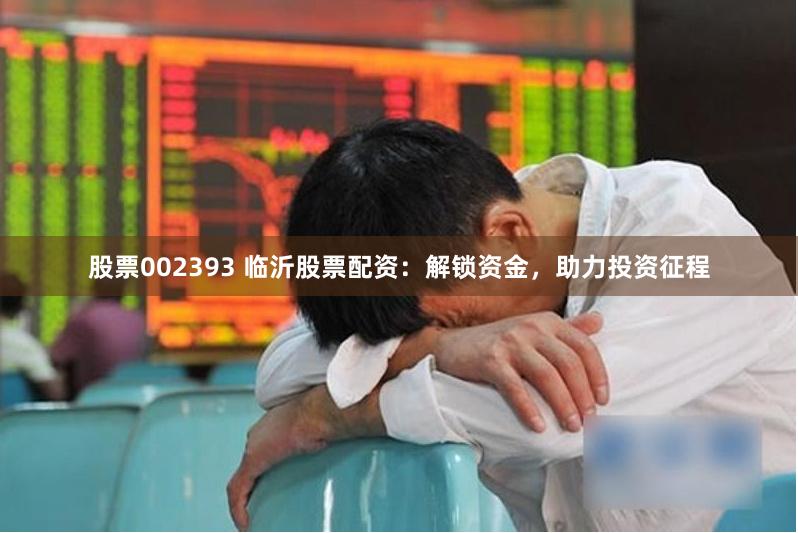 股票002393 临沂股票配资：解锁资金，助力投资征程