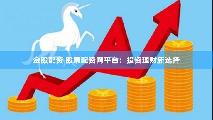 金股配资 股票配资网平台：投资理财新选择