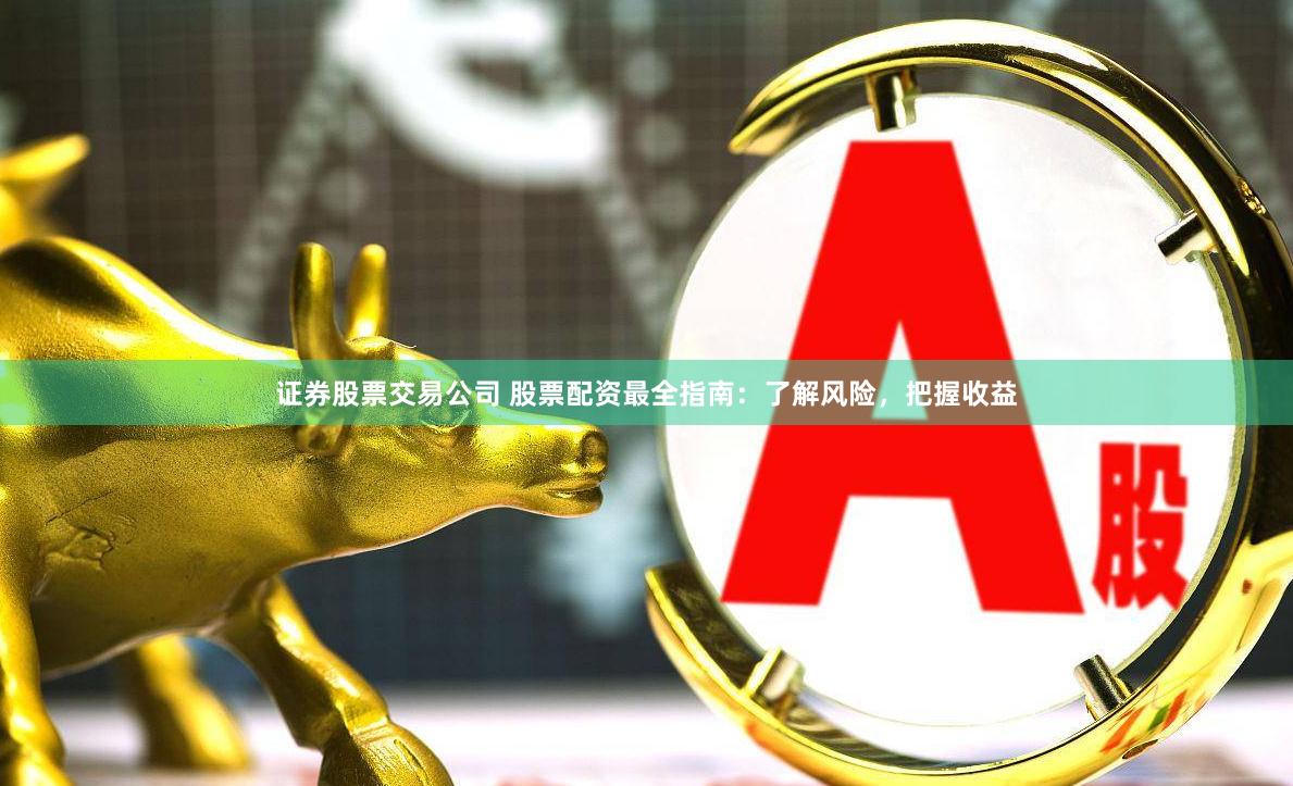 证券股票交易公司 股票配资最全指南：了解风险，把握收益